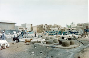 Traditional tanning in Kano in the 1980s